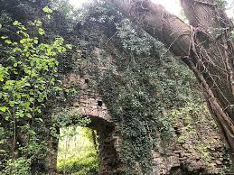 Image result for Dinas Powys Cricket Club