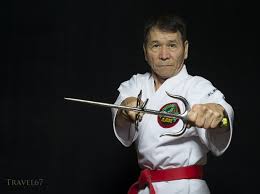 Image result for Inyo Karate Do Ninbukan