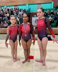 Image result for Uttoxeter Gymnastics Club