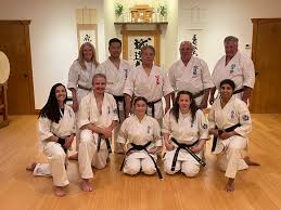 Image result for Aylesbury Vale Seido Karate