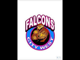 Image result for Falcons Netball Club
