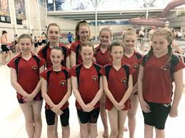 Image result for Ripley Netball Club