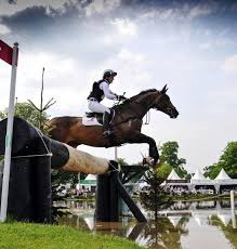 Image result for Inkberrow Badminton Club