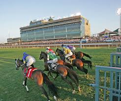 Image result for The Horse Racing Club