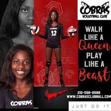 Image result for Chesterfield Cobras Volleyball Club