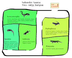 Attēlu rezultāti vaicājumam “Sauria”
