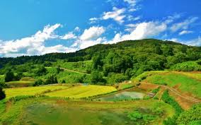 小羽　貝谷에 대한 이미지 검색결과