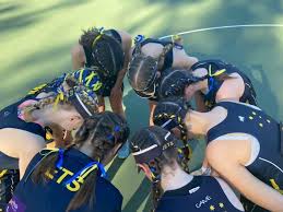 Image result for Wingrave Netball Club