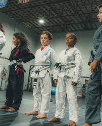 Image result for Apollo Martial Arts Academy