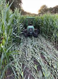 Image result for Wem Cc