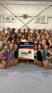 Image result for Blandford Forum Gymnastics & Kanga Club