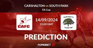 Image result for South Park Fc