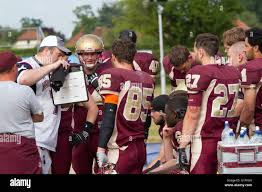 Image result for Ipswich Cardinals American Football Club