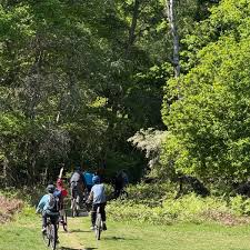 Image result for Epping Forest Mountain Bike Club