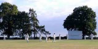 Image result for Hadlow Cricket Club