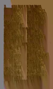 Attēlu rezultāti vaicājumam “Enerthenema papillatum young”