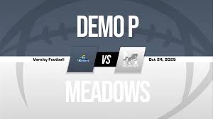 Image result for Meadows Sports Association