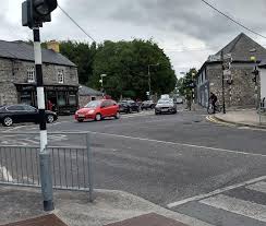 Attēlu rezultāti vaicājumam “Licea testudinacea”