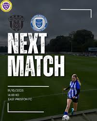 Image result for Haywards Heath Town Ladies Football Club