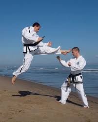 Image result for Thames Valley Karate
