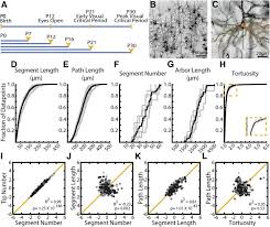 Image result for D.A.R.E!! Development + RadiSense III Y-Axis