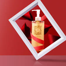 「ウルスラ・シュマルリージ」の画像検索結果