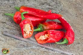 Afbeeldingsresultaat voor numex sandia hot pepper
