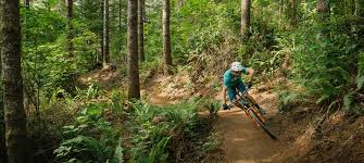 Image result for Uwe Mountain Biking Club