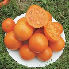 Afbeeldingsresultaat voor caro rich tomato