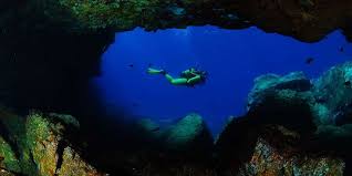 Image result for Halton Sub Aqua Club