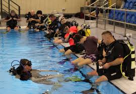 Image result for Seaham Sub Aqua Club