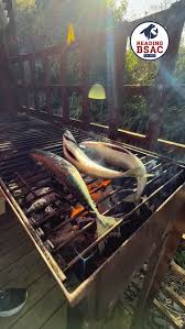 Image result for Reading Bsac