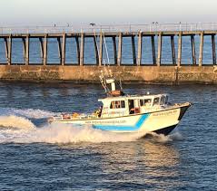 Image result for Bob Batley B`s Octopush Club