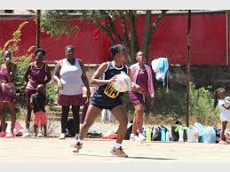 Image result for Wombles Netball Club