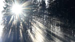 Image result for wetter