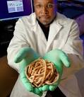 to a variety of <b>parasites</b>,