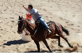 Image result for Kings Ranch Riding School/Club