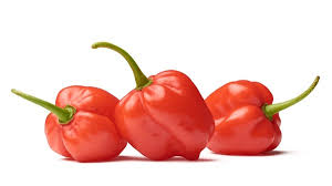 Afbeeldingsresultaat voor aji habanero hot pepper