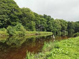 Image result for Aberdeen & District Angling Association