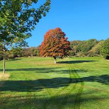 Image result for Wrekin Golf Club