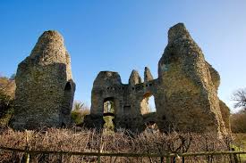 Image result for Basingstoke Sc