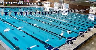 Image result for Stocksbridge Pentaqua Swimming Club