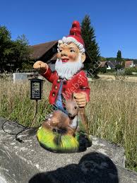 Image result for Gartenzwerg