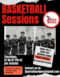 Image result for Spen Valley Vipers