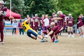 Image result for Ipswich Cardinals American Football Club