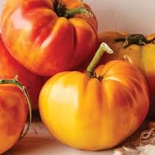 Afbeeldingsresultaat voor bloody butcher tomato