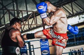Image result for Vipers Thai/Kickboxing School