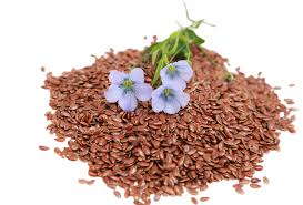 Attēlu rezultāti vaicājumam “Linum usitatissimum bud”