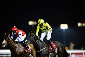 Image result for Thames Valley Riding Club