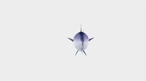 Image result for Thunnus maccoyii